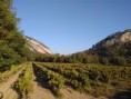 /album/le-village-de-cabasse-sur-issole/img-20160930-085339-jpg/