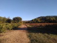 /album/le-village-de-cabasse-sur-issole/img-20161003-084801-jpg/