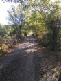 /album/le-village-de-cabasse-sur-issole/img-20161108-091841-jpg/
