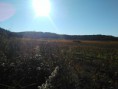 /album/le-village-de-cabasse-sur-issole/img-20161108-091944-jpg/