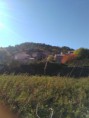 /album/le-village-de-cabasse-sur-issole/img-20161119-124703-jpg/